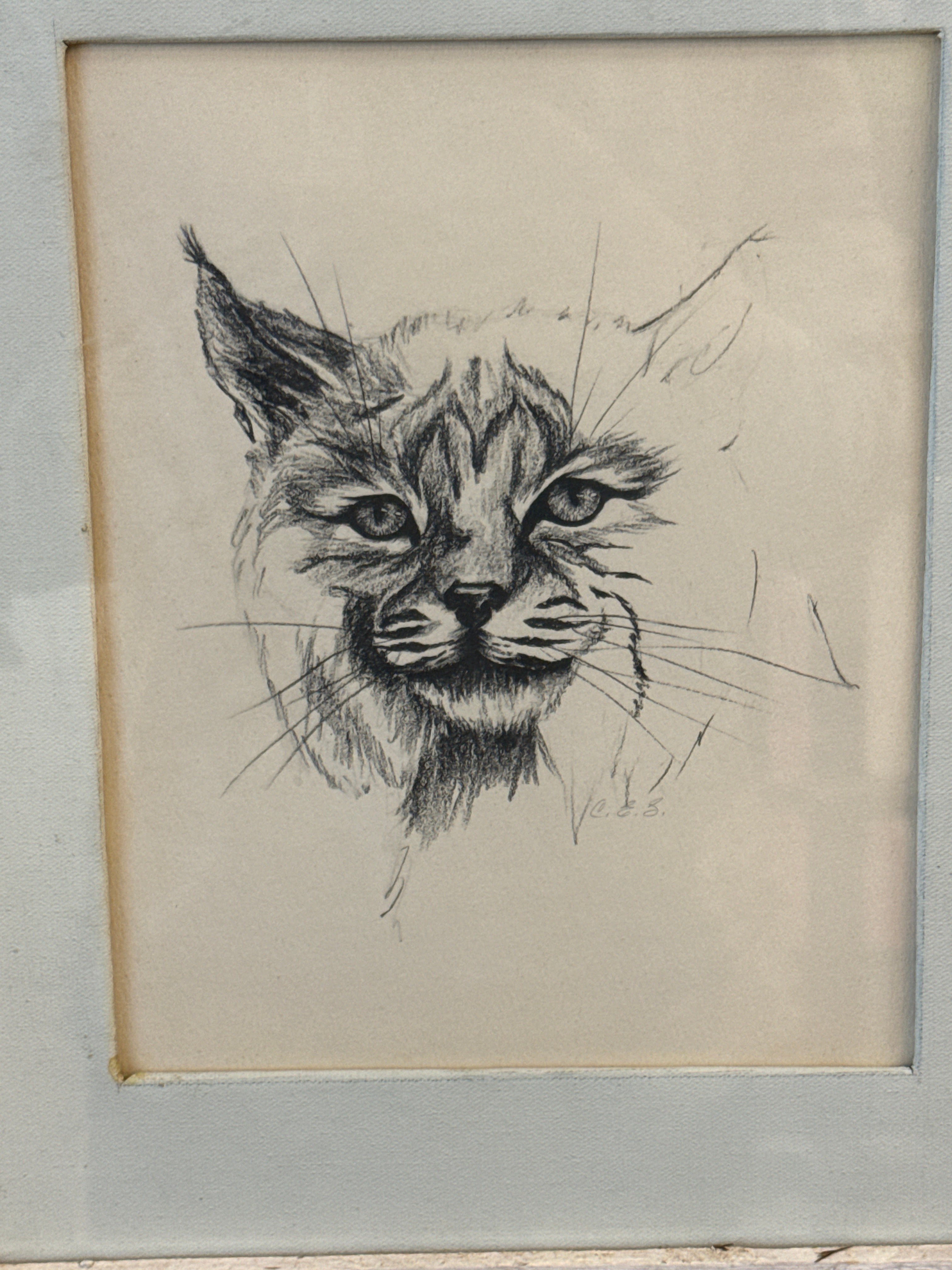 Large Rustic Cat Sketch Art, Wooden Frame on canvas