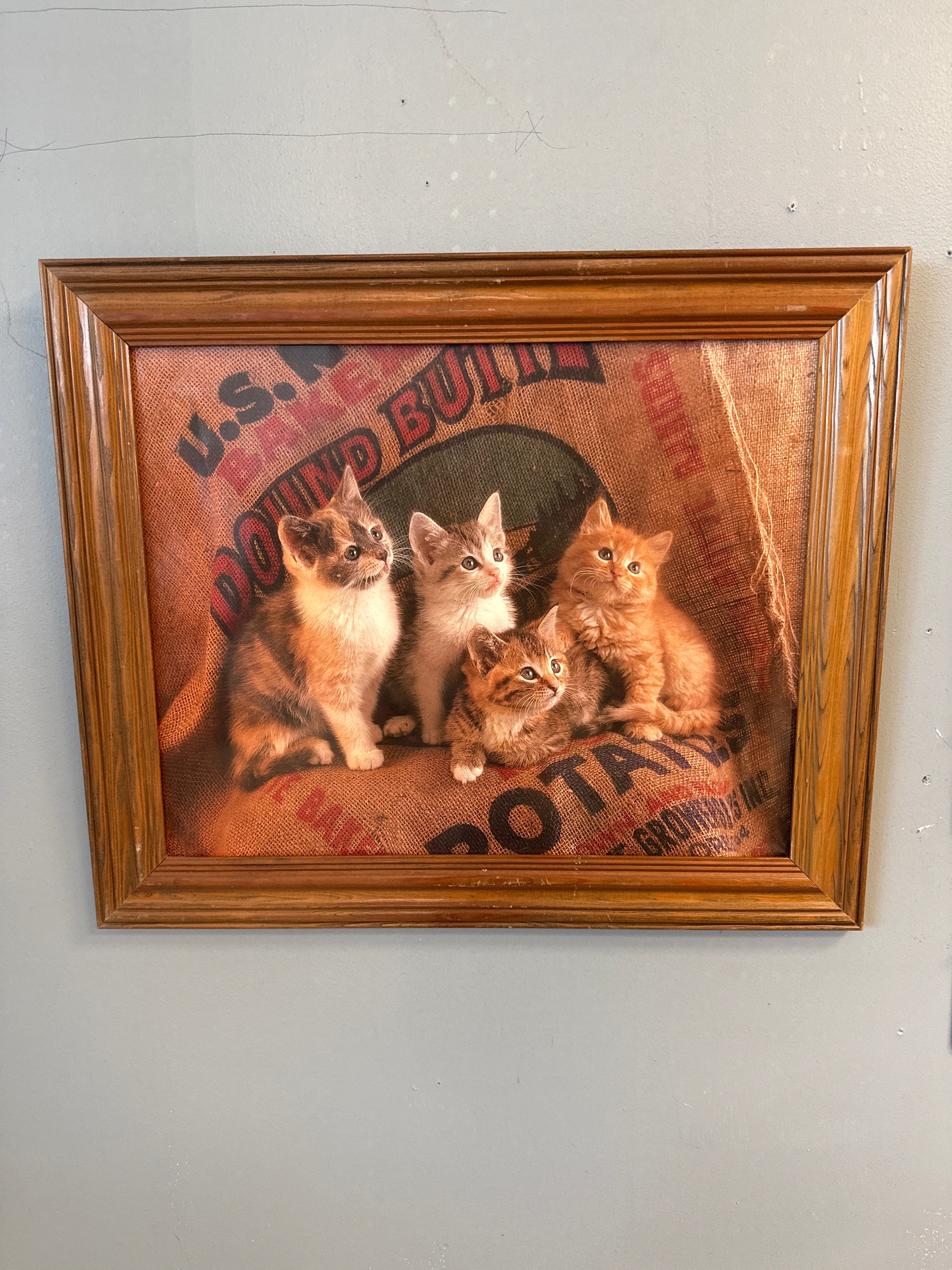 Burlap sack kittens, large wood frame art 18 x 24