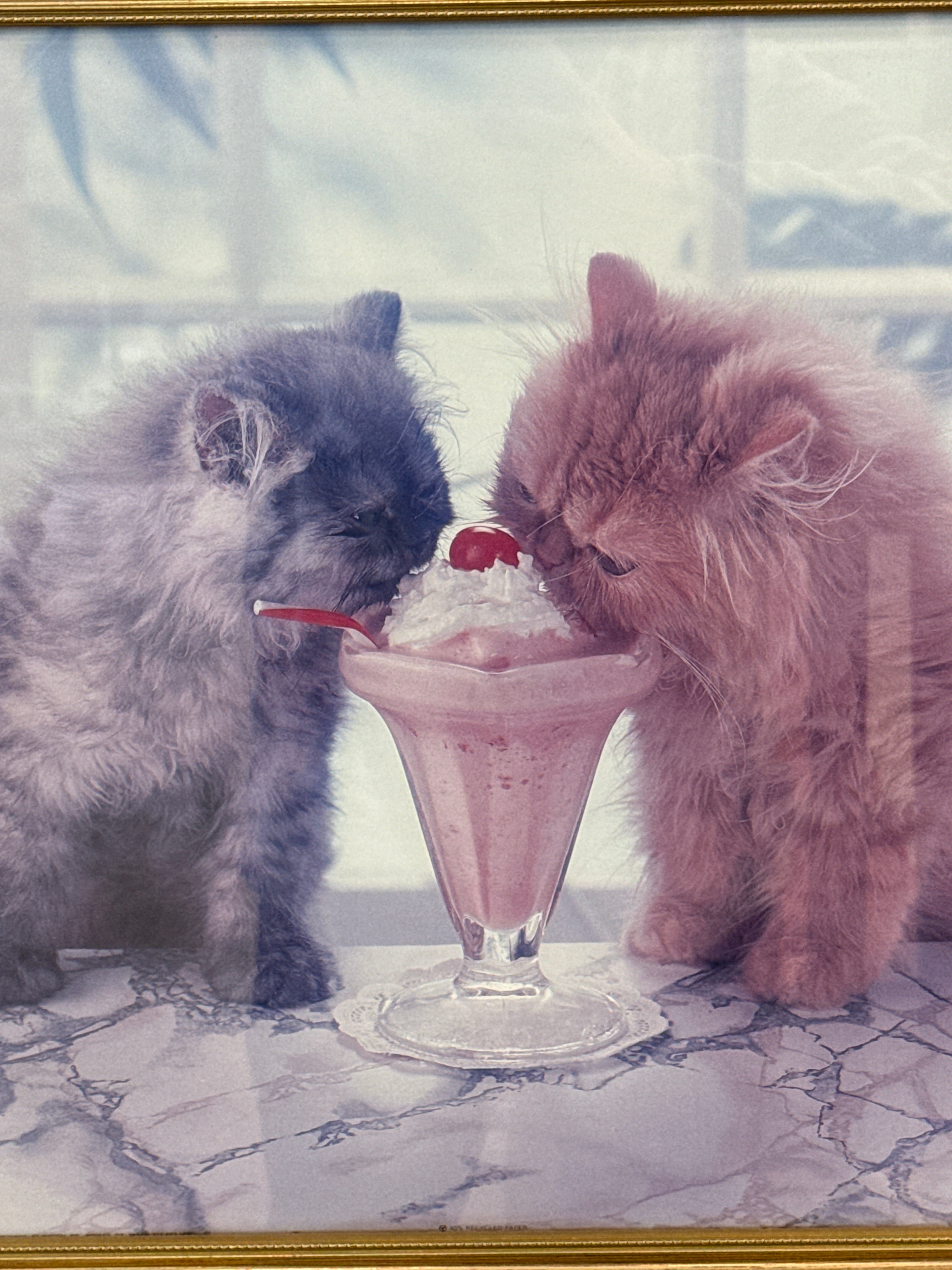 Two Kitties Milkshake Art