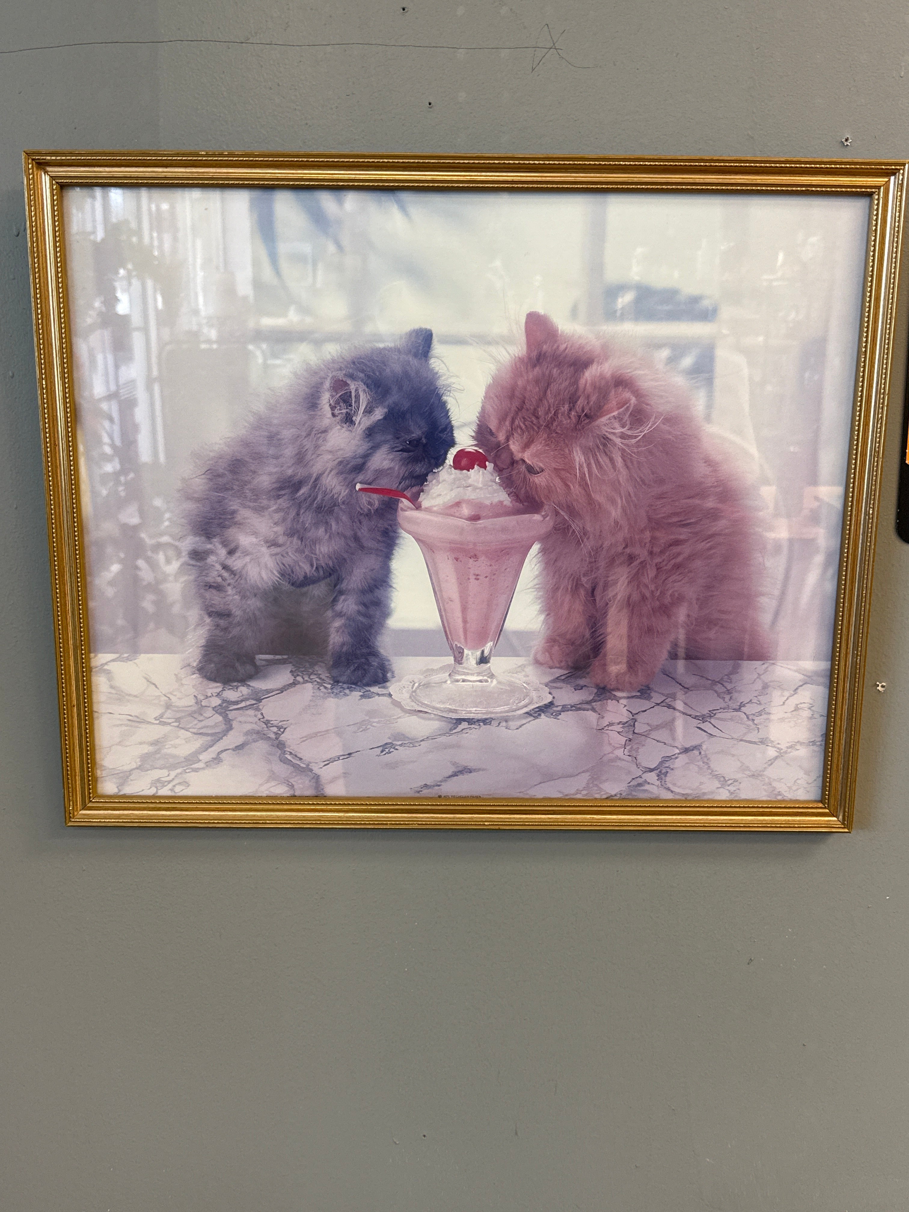Two Kitties Milkshake Art