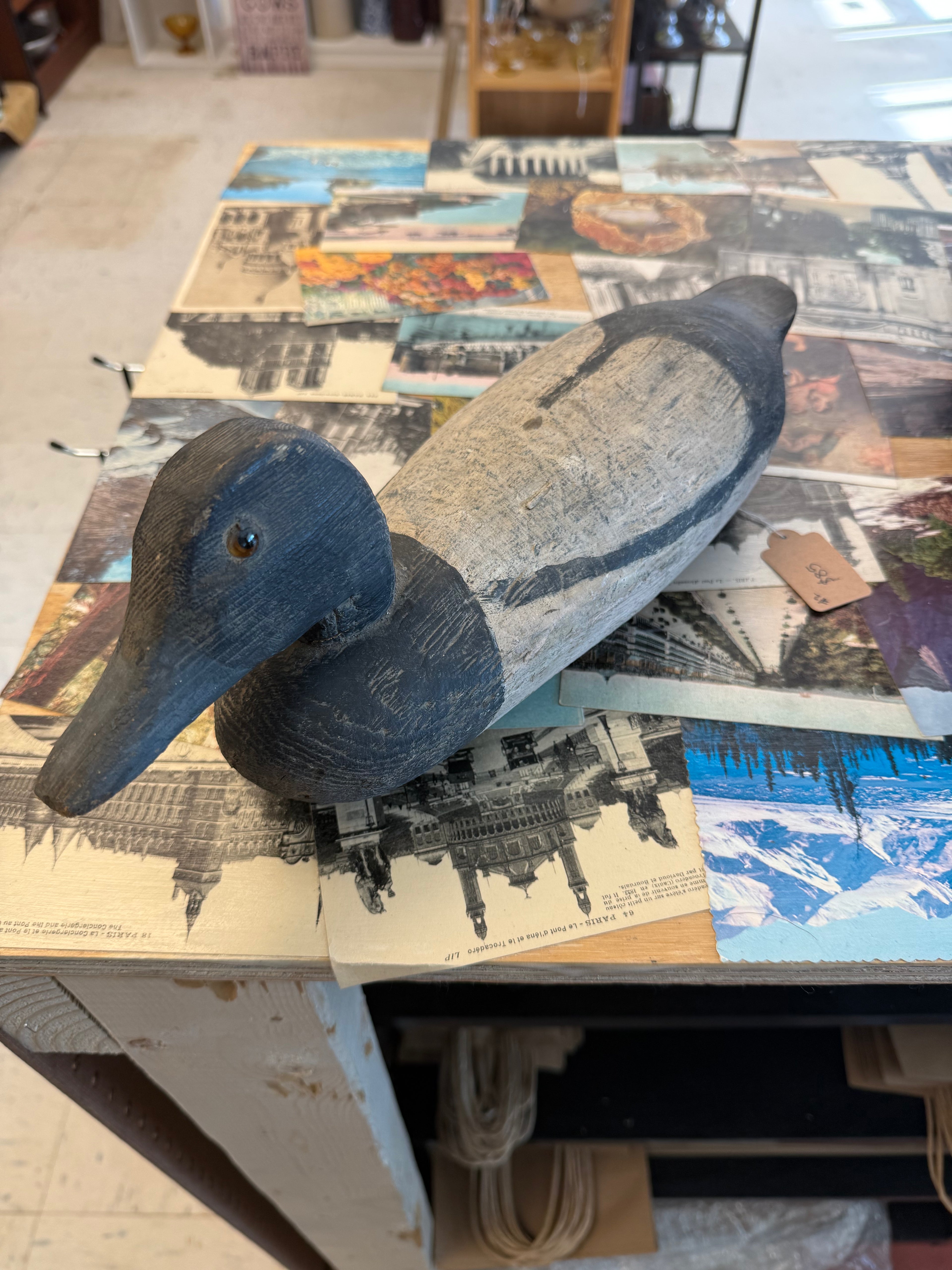 Decoy duck